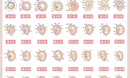 氨曲南哺乳期用药多久可以哺乳-专业氨曲南多久能喂奶平台-哺乳期点滴氨曲南可以喂奶吗