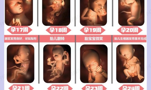 氨曲南哺乳期用药多久可以哺乳-专业氨曲南多久能喂奶平台-哺乳期点滴氨曲南可以喂奶吗