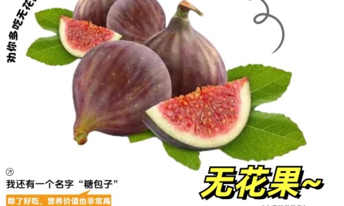 氨曲南多久能喂奶-氨曲南哺乳期用药多久可以哺乳-专业氨曲南多久能喂奶平台-哺乳期点滴氨曲南可以喂奶吗
